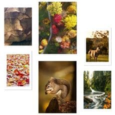 Colore Senza cornice