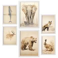 Colore Cornice bianca