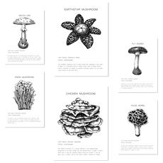 Colore Senza cornice