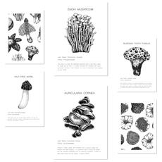 Colore Senza cornice