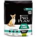 Pro Plan Small&mini Adult Optidigest Pollo 3 Kg - Foto miniatura 2