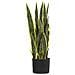 Pianta Artificiale In Vaso 63 Cm Snake Plant - Foto miniatura 1