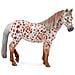British Spotted Pony Mare Horse Toy - Foto miniatura 2