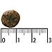 9117385 cibo secco per cani 11 kg Adulto Agnello - Foto miniatura 2