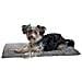 Tappeto Cattura Sporco Superbed 80x50 Cm Grigio Scuro 81264 - Foto miniatura 3