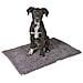 Tappeto Cattura Sporco Superbed 80x50 Cm Grigio Scuro 81264 - Foto miniatura 5