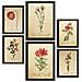 Set Di 6 Stampe Fiori Rossi Stampe Naturalistiche E Botaniche A Colori Con Motivi Floreali In Stile Cartaceo Vintage Per Interni A3 & A4 Senza Cornice - Foto miniatura 1