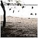 Tallest Man On Earth - There's No Leaving Now - Foto miniatura 1
