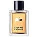 , L'homme, Eau De Toilette, For Men, 50 Ml - Foto miniatura 3