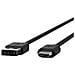Cavo da USB-A 2.0 a USB-C Per Studio X / G7500 - Foto miniatura 1