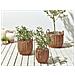 Set Di 3 Vasi Per Piante Aucuba Rattan Sintetico 26/34/44 Cm Marrone Chiaro - Foto miniatura 1