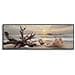 Stampa Su Tela Laccata Beach Conchiglie E Driftwood Panoramica Con Cornice Nera - Foto miniatura 1