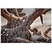 Stampa Su Tela Laccata Beach Conchiglie E Driftwood Panoramica Con Cornice Nera - Foto miniatura 4