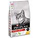 Pro Plan Adult Con Pollo: 10 Kg - Foto miniatura 2