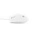 NMY-1988 mouse Ufficio USB tipo A Ottico - Foto miniatura 3