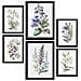 Set Di 6 Stampe Gigli Stampe Naturalistiche E Botaniche A Colori Con Motivi Floreali Su Sfondi Bianchi Puri Design D'interni A3 & A4 Senza Cornice - Foto miniatura 1