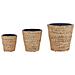 Set Di 3 Vasi Per Piante Giacinto D'acqua Naturale Plaka - Foto miniatura 2
