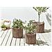 Set Di 3 Vasi Per Piante Pendula 33/37/45 Cm Naturale - Foto miniatura 1