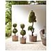 Set Di 3 Vasi Per Piante Pendula 33/37/45 Cm Naturale - Foto miniatura 8