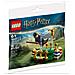 Harry Potter - Allenamento Di Quidditch (30651) - Foto miniatura 1