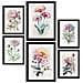 Set Di 6 Stampe Rose Stampe Naturalistiche E Botaniche A Colori Con Motivi Floreali Su Sfondi Bianchi Puri Design D'interni A3 & A4 Senza Cornice - Foto miniatura 1