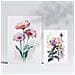 Set Di 6 Stampe Rose Stampe Naturalistiche E Botaniche A Colori Con Motivi Floreali Su Sfondi Bianchi Puri Design D'interni A3 & A4 Senza Cornice - Foto miniatura 2