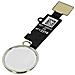Tasto Home Completo Iphone 7 Tasto Principale + Connettore Bianco - Foto miniatura 3