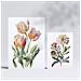 Set Di 6 Stampe Fiori Pastello Stampe Naturalistiche E Botaniche A Colori Con Motivi Floreali Su Sfondi Bianchi Puri Design D'interni A3 & A4 Senza Cornice - Foto miniatura 2