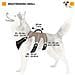 Pettorina Ergonomica Per Cani Taglia Medio-piccola Ergotrekking P Small, Sei Chiusure Con Microregolazione, Morbida Imbottitura, Riflettente, Ideale Per Escursioni, Marrone - Foto miniatura 2
