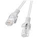 Cavo Di Rete Ethernet Utp Lanberg Cat. 6 Grigio 5m - Foto miniatura 7