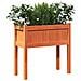 Fioriera Giardino Gambe Marrone Cera 70x31x70 Cm Massello Pino - Foto miniatura 3