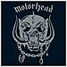 Motorhead - Motorhead (White Vinyl)  - Foto miniatura 1