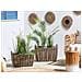 Set Di 2 Vasi Per Piante Rattan Sintetico Marrone Ormos - Foto miniatura 1