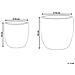 Set Di 3 Vasi Per Piante Berberis Rattan Sintetico 34/45 Cm Marrone Scuro - Foto miniatura 4