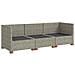 3 pz Set Lounge in Rattan con Cuscini GENDT Rattan naturale - Foto miniatura 5