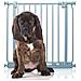 Bettacare Cancelletto Per Cani Elite Con Montaggio A Pressione, 71cm - 80cm, Grigio Opaco - Foto miniatura 1