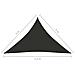 Parasole a Vela Oxford Triangolare 4x4x5,8 m Antracite - Foto miniatura 6