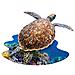 Puzzles Jr - I Am Lil Sea Turtle - 100 Pezzi - Puzzle A Forma Di Animale - Foto miniatura 1