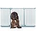 Bettacare Cancelletto Per Cani Elite Con Montaggio A Pressione, 152cm - 161cm, Grigio Opaco - Foto miniatura 1
