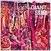 Giant Sand - Recounting The Ballads Of Thin Line Men - Disponibile dal 20/09/2019 - Foto miniatura 1