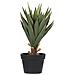 Pianta Artifciale In Vaso 52 Cm Aloe Vera - Foto miniatura 1