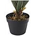 Pianta Artifciale In Vaso 52 Cm Aloe Vera - Foto miniatura 6