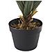 Pianta Artifciale In Vaso 52 Cm Aloe Vera - Foto miniatura 4
