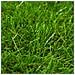 Erba Sintetica 1x10 M / 40 Mm Verde - Foto miniatura 2