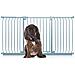 Bettacare Cancelletto Per Cani Elite Con Montaggio A Pressione, 161cm - 170cm, Grigio Opaco - Foto miniatura 1