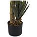 Pianta Artifciale In Vaso 90 Cm Aloe Vera - Foto miniatura 7