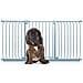Bettacare Cancelletto Per Cani Elite Con Montaggio A Pressione, 170cm - 179cm, Grigio Opaco - Foto miniatura 1