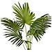 Pianta Artificiale In Vaso 100 Cm Fan Palm - Foto miniatura 2