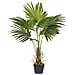 Pianta Artificiale In Vaso 100 Cm Fan Palm - Foto miniatura 4