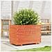 Fioriera Giardino Marrone Cera 70x40x49,5cm Legno Massello Pino - Foto miniatura 3